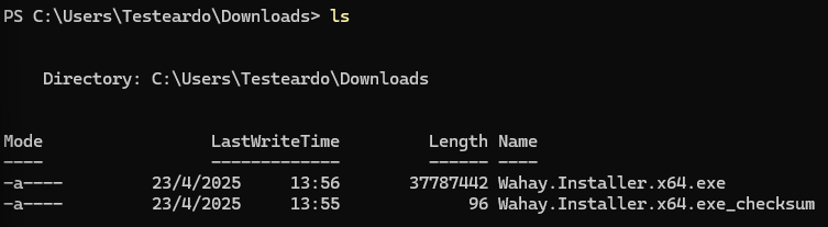PowerShell abierto en la carpeta de descargas